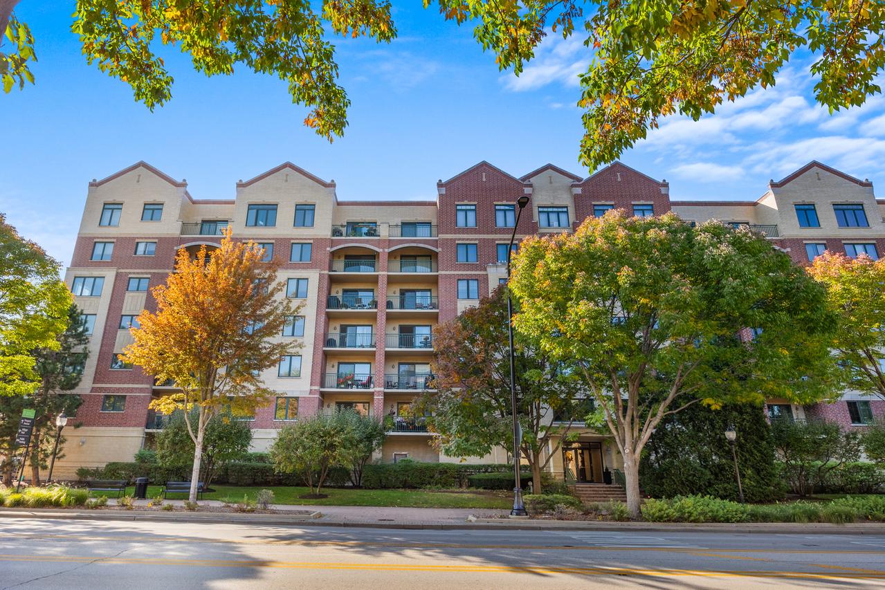 20 S Main St. #301, Mount Prospect, IL 60056