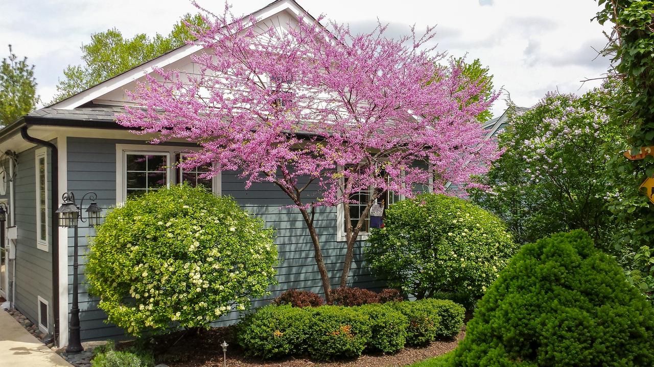 22w474 Emerson Ave., Glen Ellyn, IL 60137