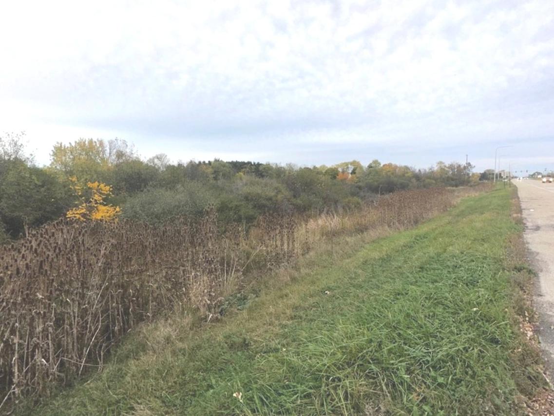 17320 W Il. Route 173, Wadsworth, IL 60083