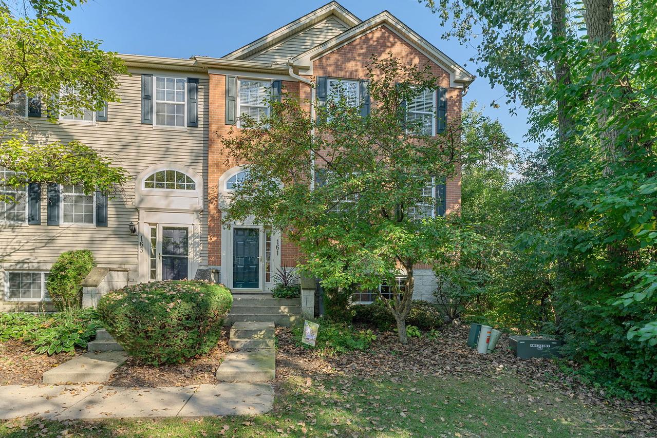161 Patrick Ave., Willow Springs, IL 60480