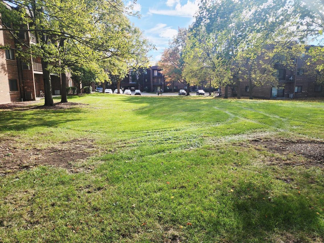 1026 Castilian Ct. #113, Glenview, IL 60025
