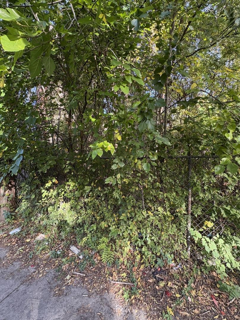 6705 S Parnell Ave., Chicago, IL 60621