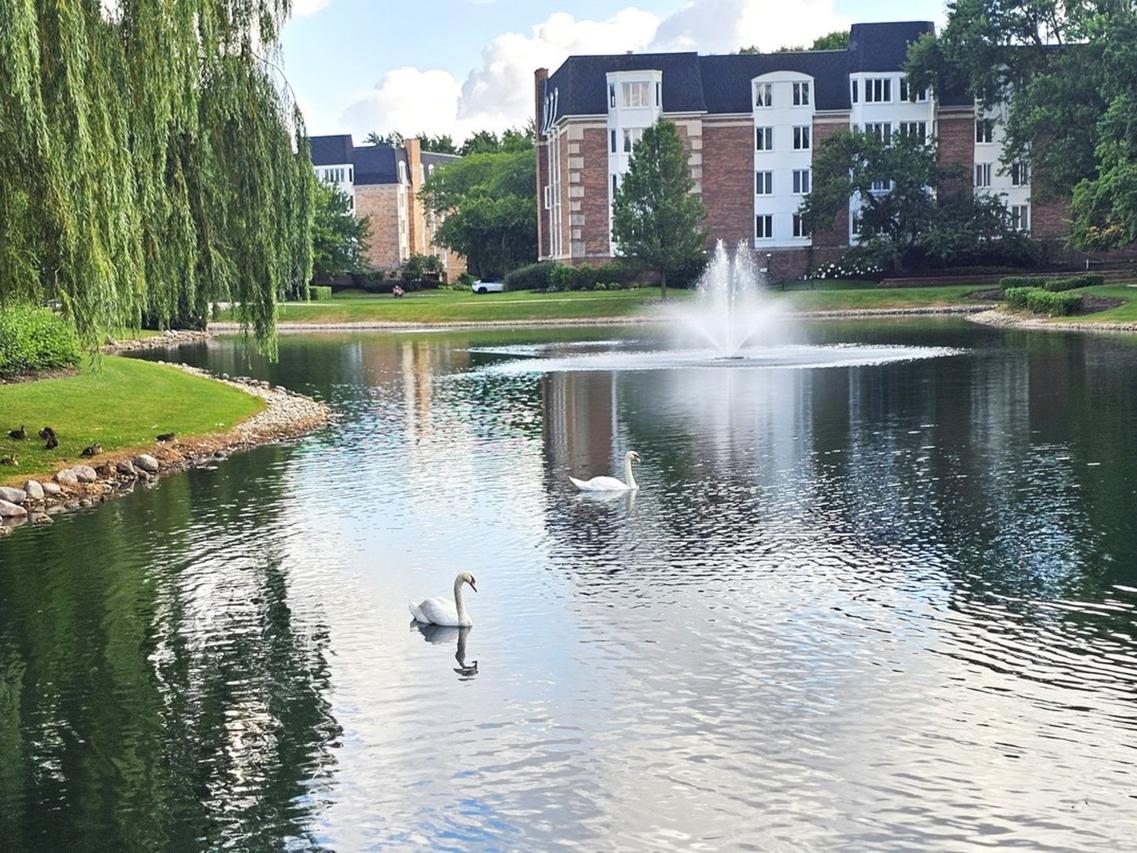 150 Lake Blvd. #125, Buffalo Grove, IL 60089