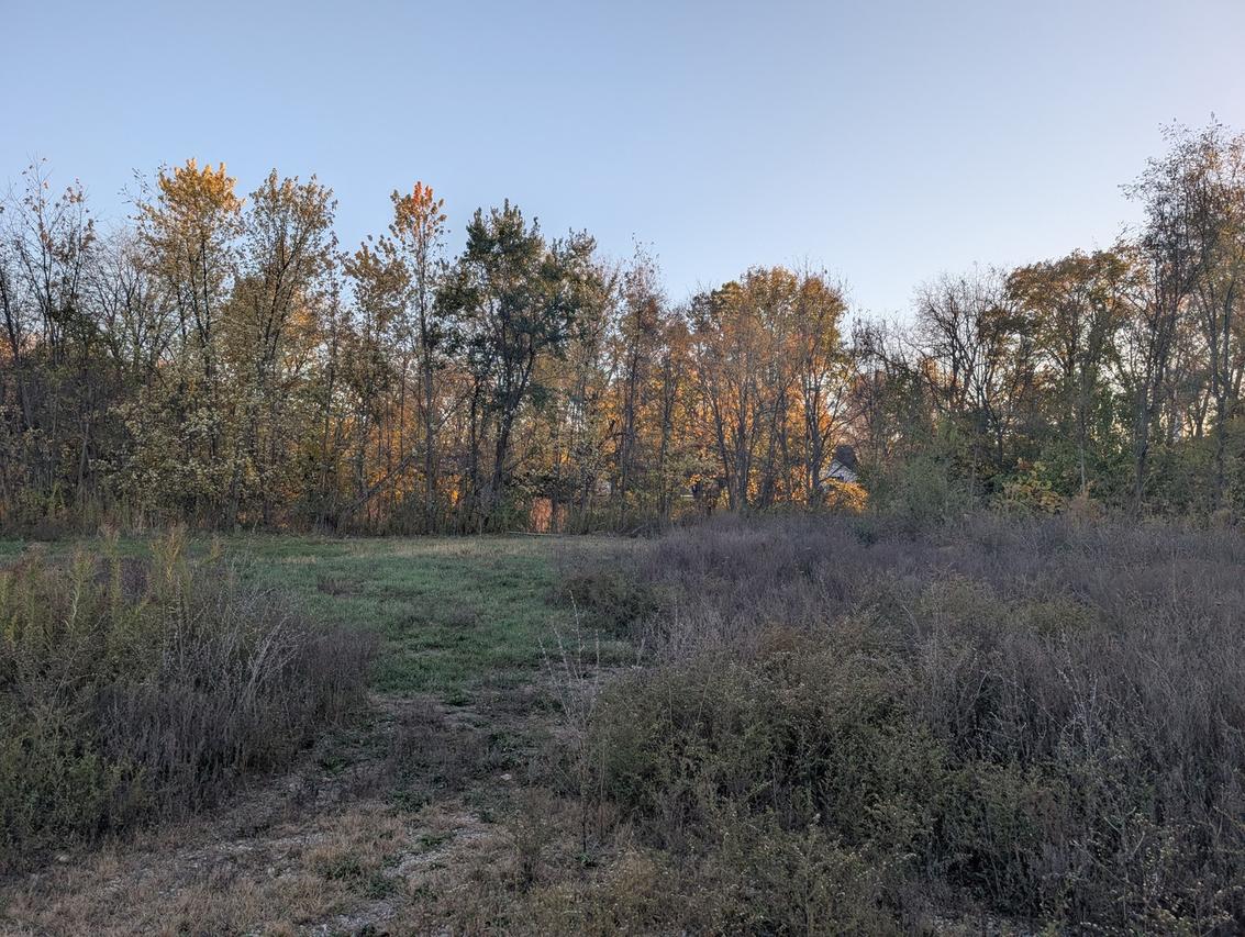 510 N Grove St., Farmer City, IL 61842