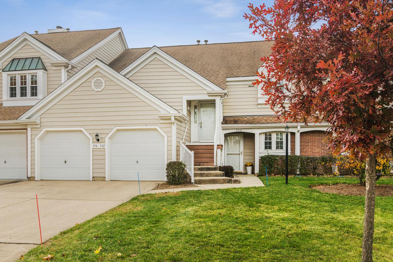 534 Park View Ter., Buffalo Grove, IL 60089