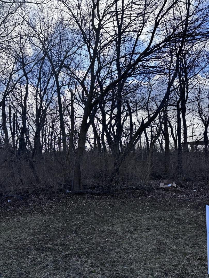 1859 Erin Ln., Morris, IL 60450