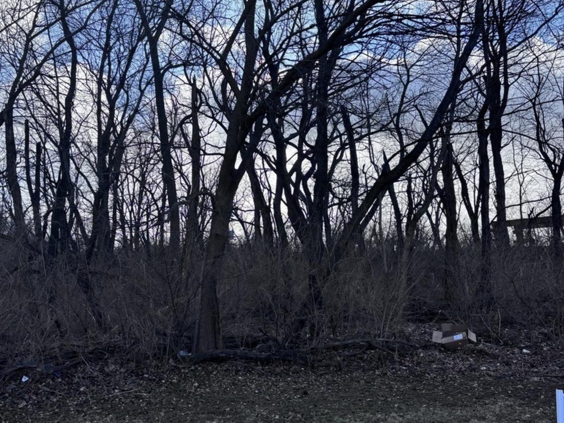 1859 Erin Ln., Morris, IL 60450