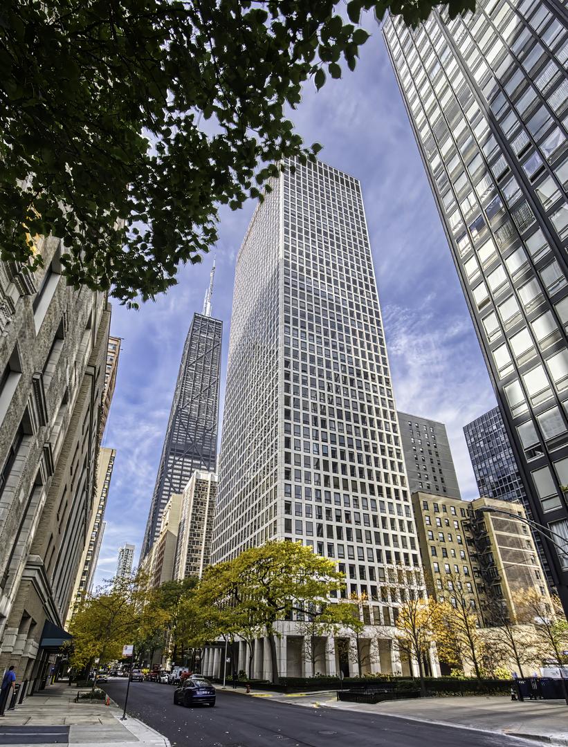 260 E Chestnut St. #1111, Chicago, IL 60611