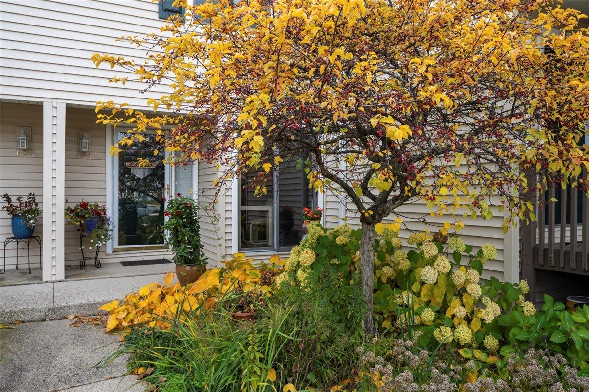 131 Autumn Ct., Buffalo Grove, IL 60089