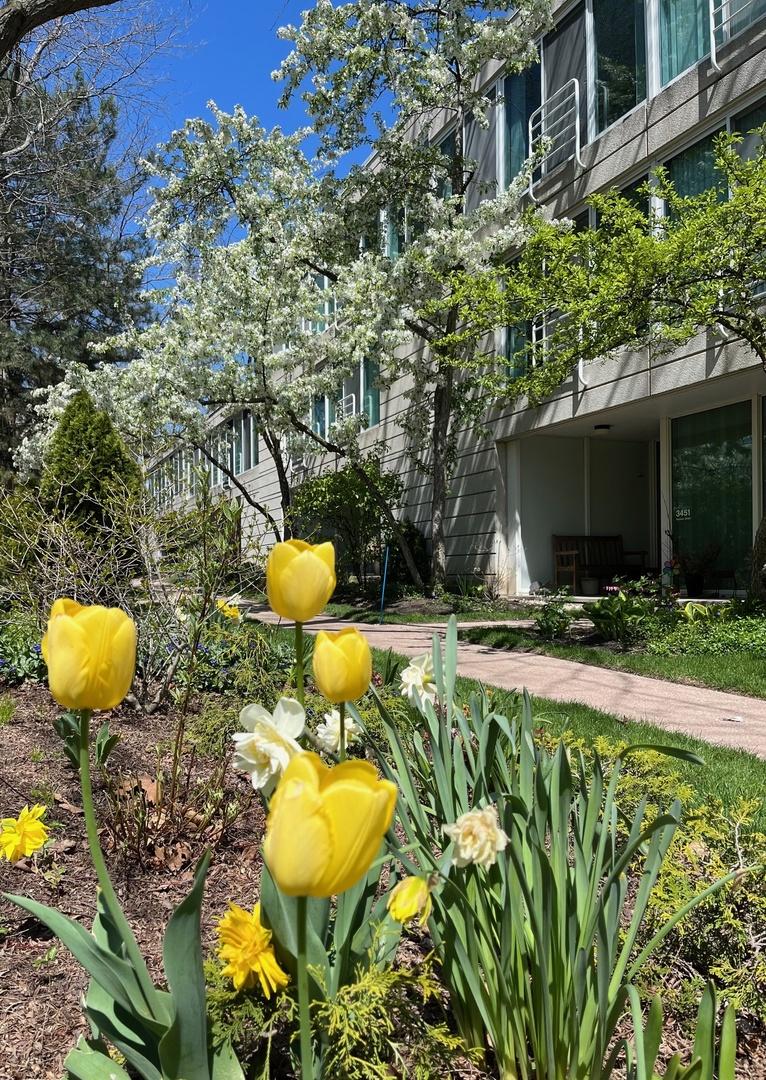 3451 Harrison St., Evanston, IL 60201