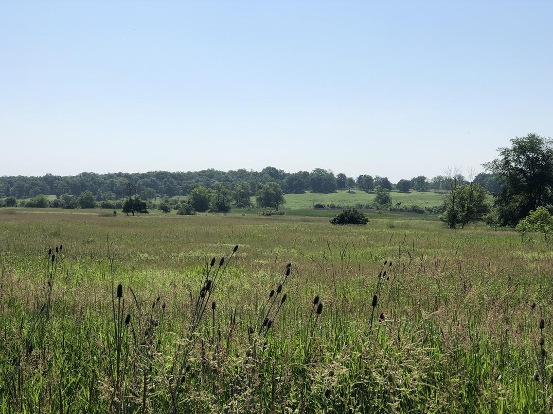 600 Berron Ln., Barrington Hills, IL 60010
