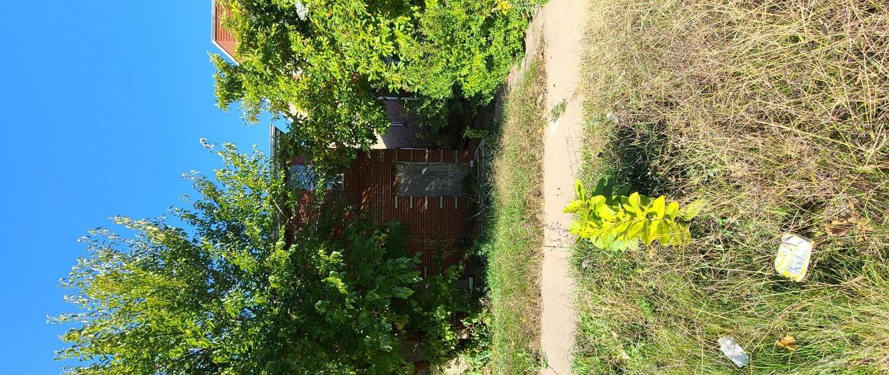 7804 S Constance Ave., Chicago, IL 60649