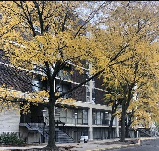 1043 S York Rd. #208, Bensenville, IL 60106