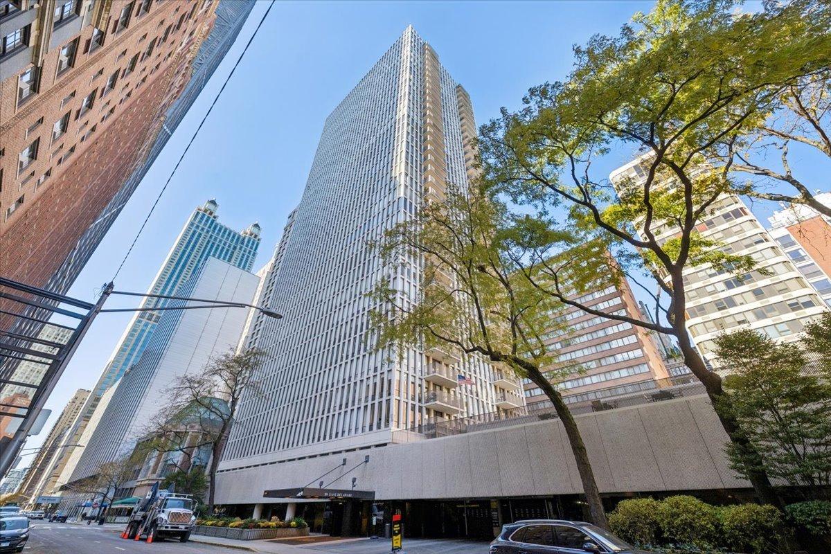 200 E Delaware St. #20A, Chicago, IL 60611