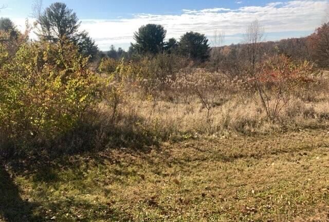 [Address Hidden by Seller], Dixon, IL 61021