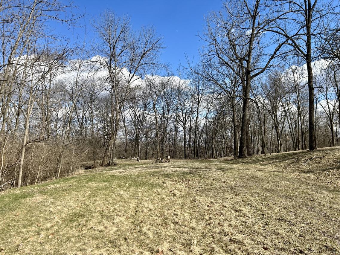 Lot 5 Thirty Foot Trail Rd., Oglesby, IL 61348