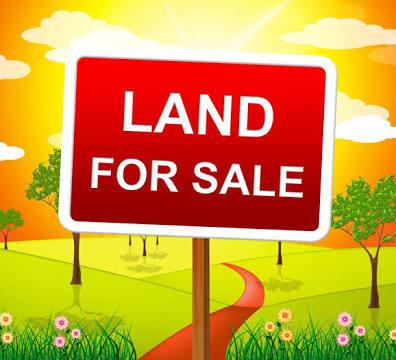 238 Grant Ave., Clarendon Hills, IL 60514