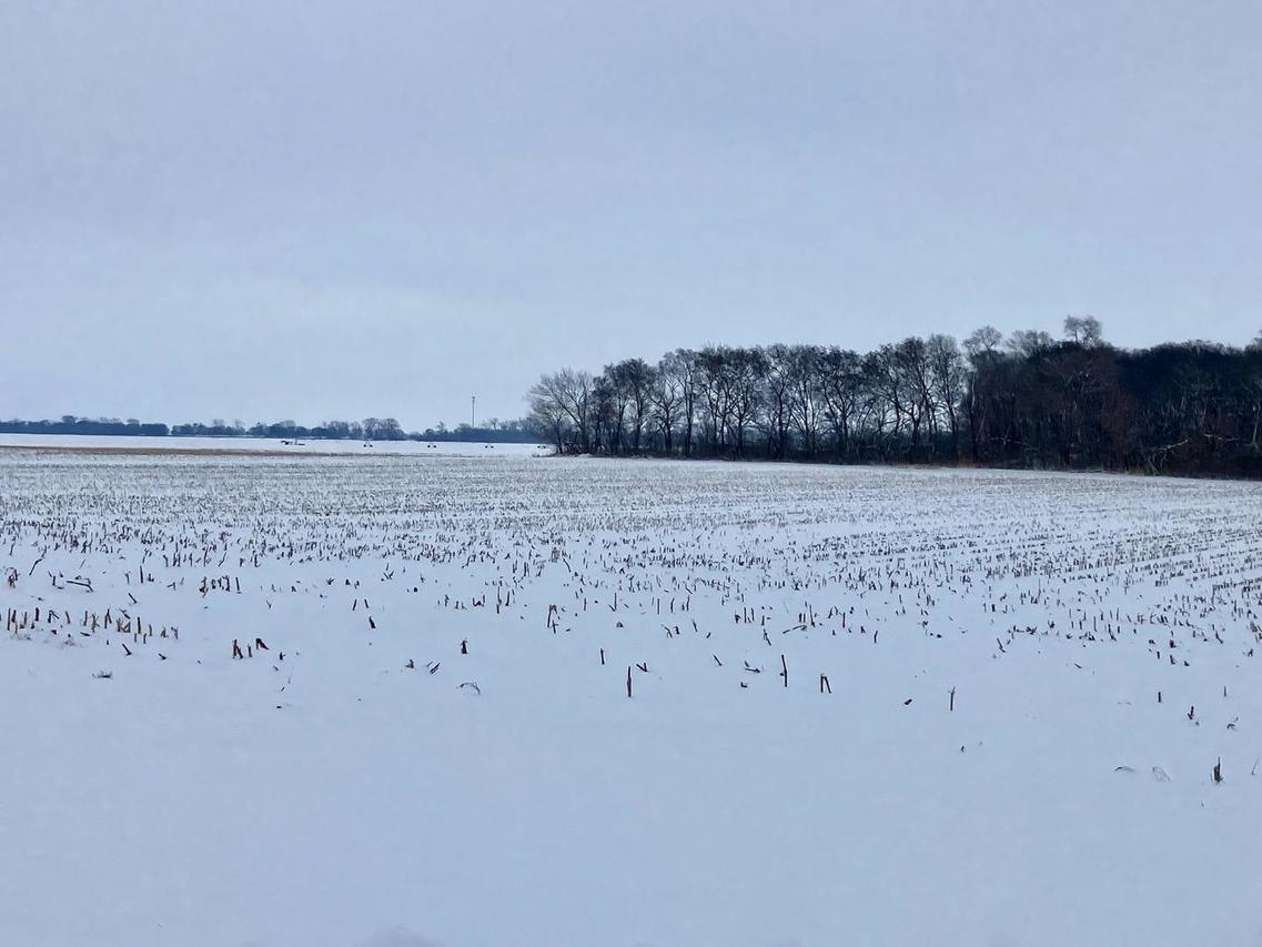 E 2nd St., Tampico, IL 61283