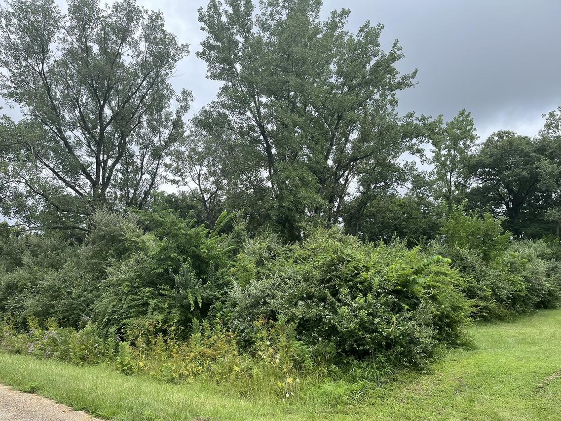 6 Walnut Dr., Putnam, IL 61560