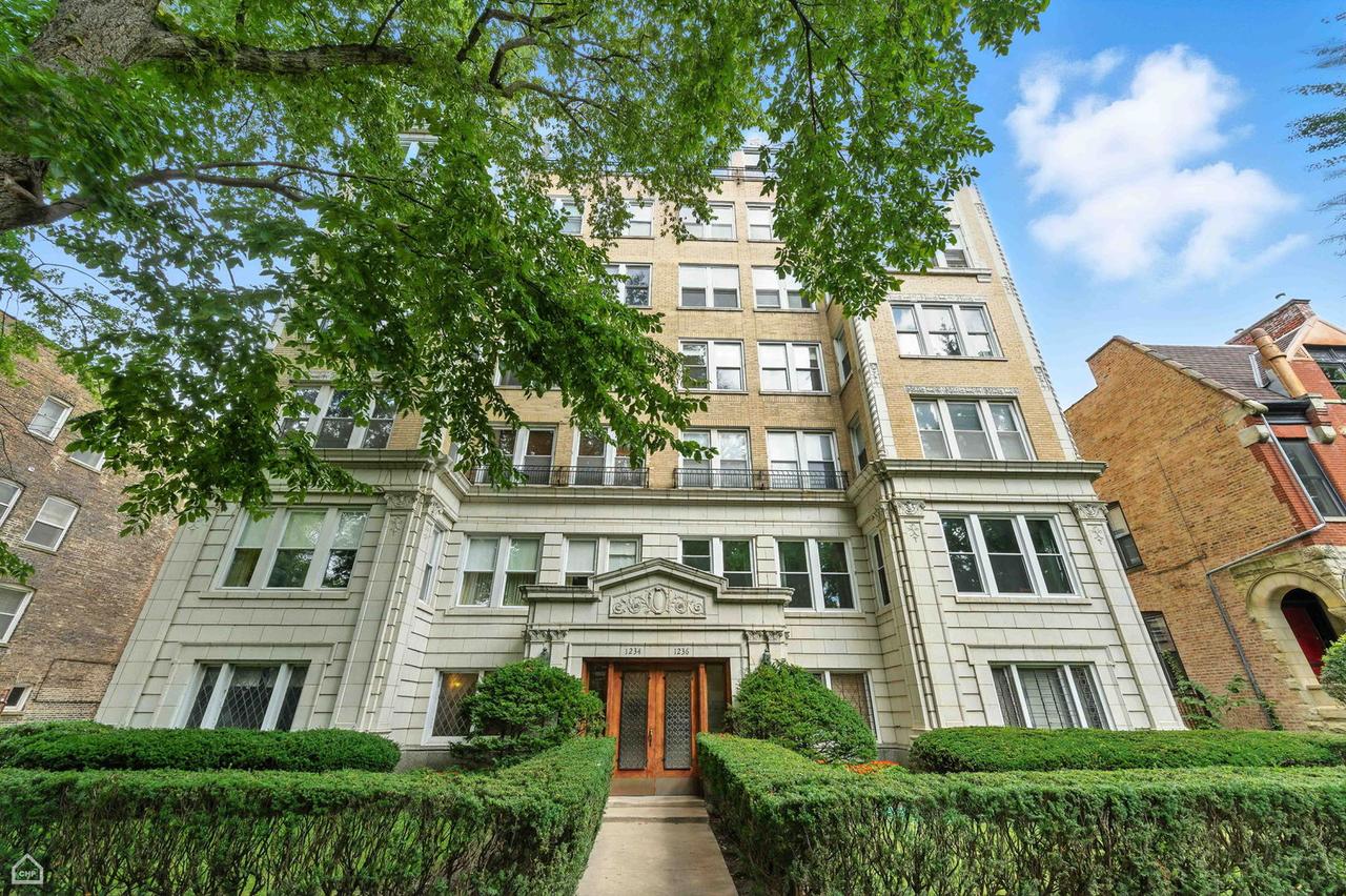 1234 E Madison Park Ave. #3W, Chicago, IL 60615