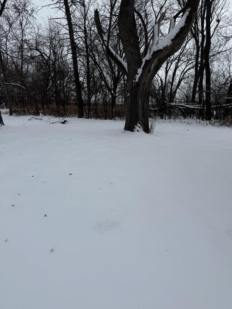 19611 Crawford Ave., Flossmoor, IL 60422