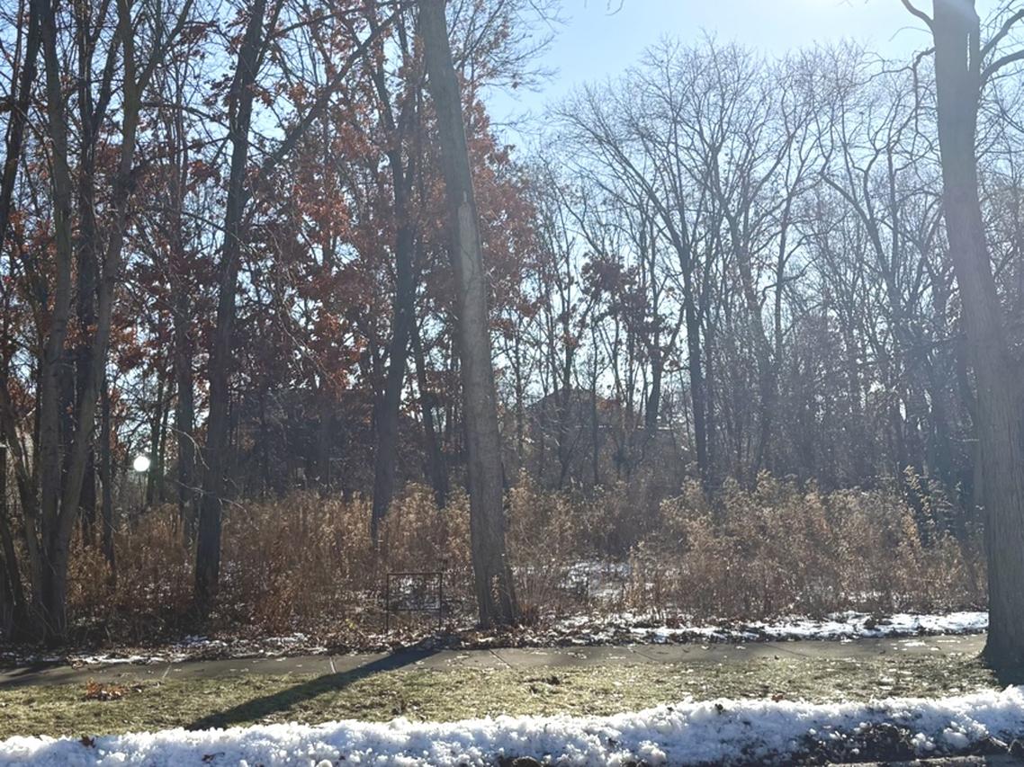 734 W Feather Sound Dr., Bolingbrook, IL 60440