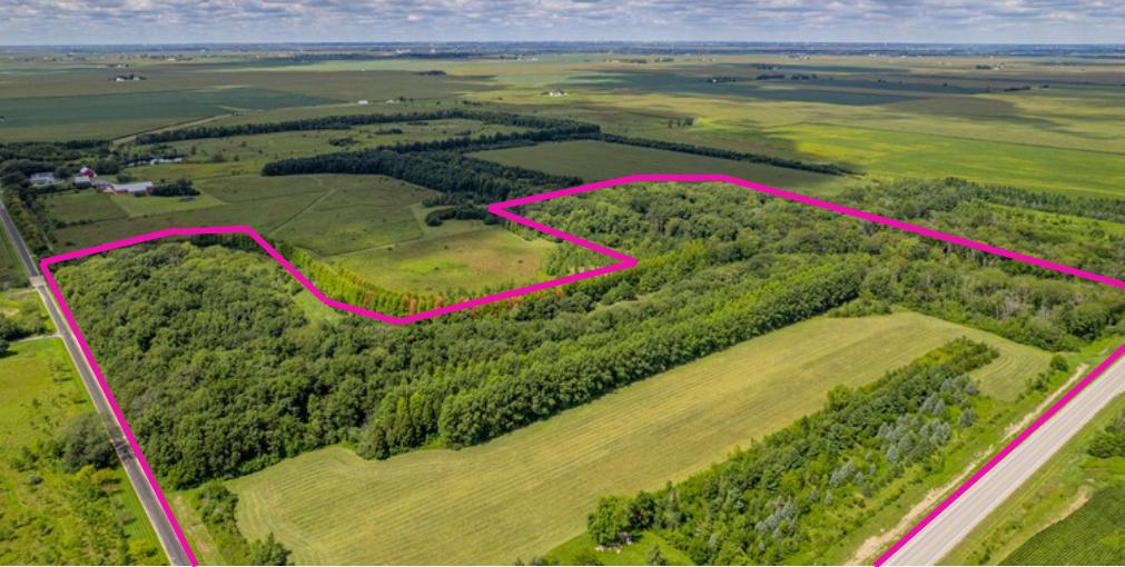 54.23 Acres 2700 North Rd., Ashkum, IL 60911