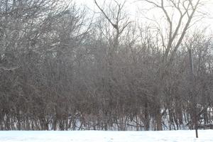 930 N N Fairfield Rd., Round Lake Beach, IL 60073