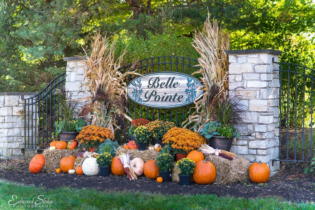 9604 Emily Ln., Union, IL 60180