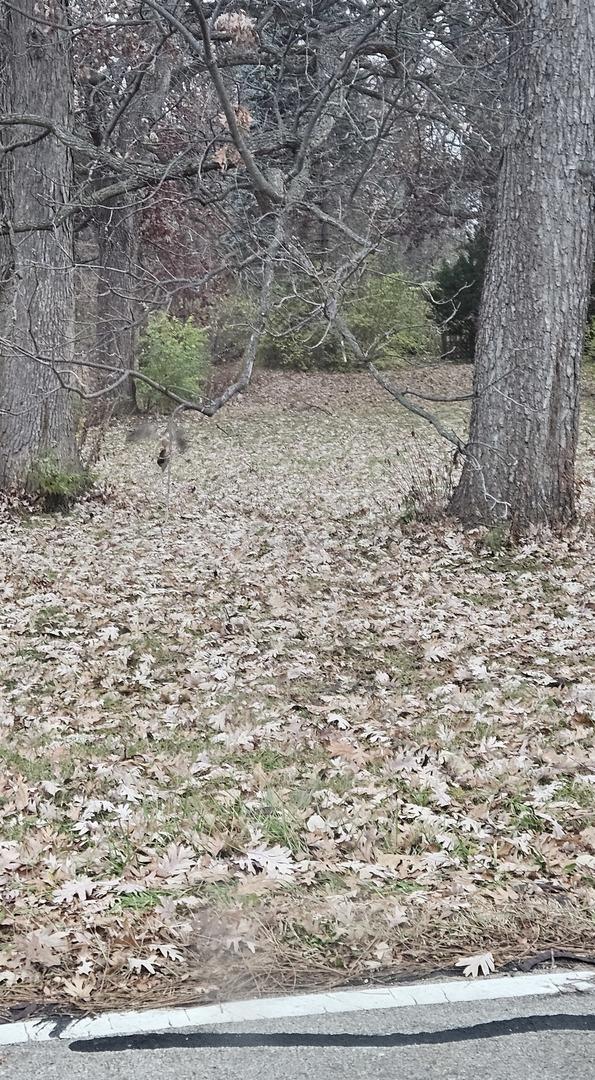 0N636 Sunset Ave., West Chicago, IL 60185