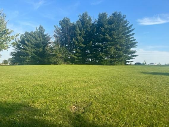 New Homes For Sale This Week in Dixon: January 9th to January 15th