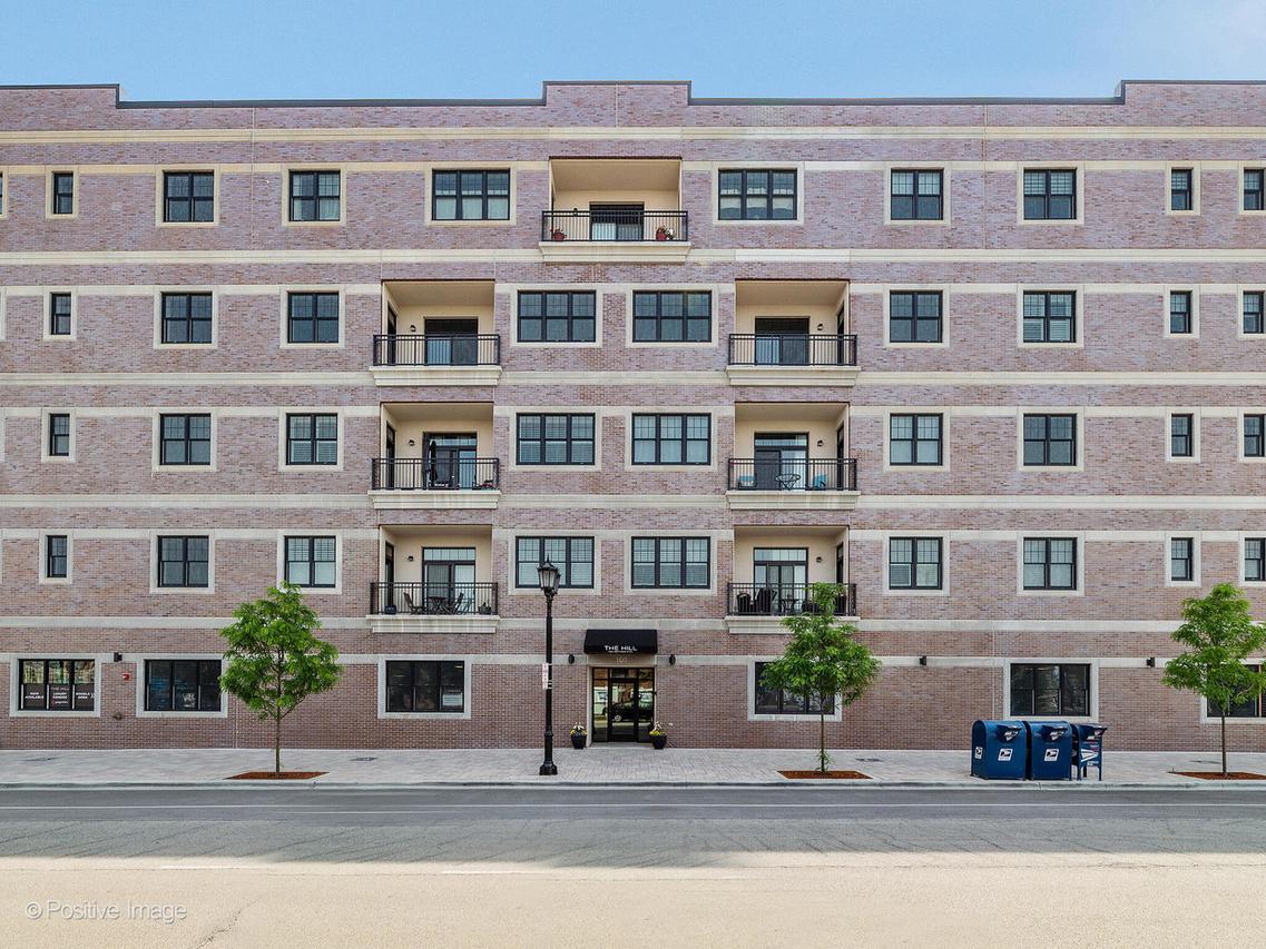 105 S Cottage Hill Ave. #204, Elmhurst, IL 60126