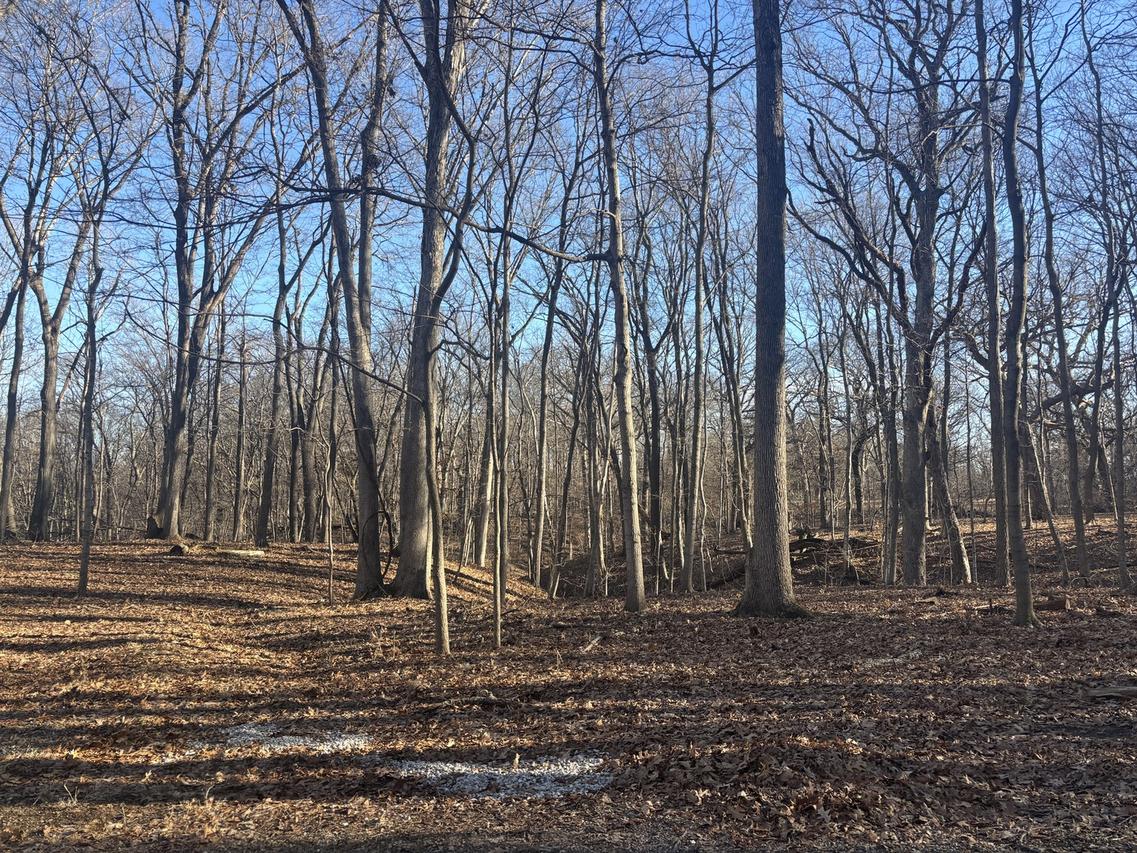 1761-1762 Sunflower Dr., Varna, IL 61375