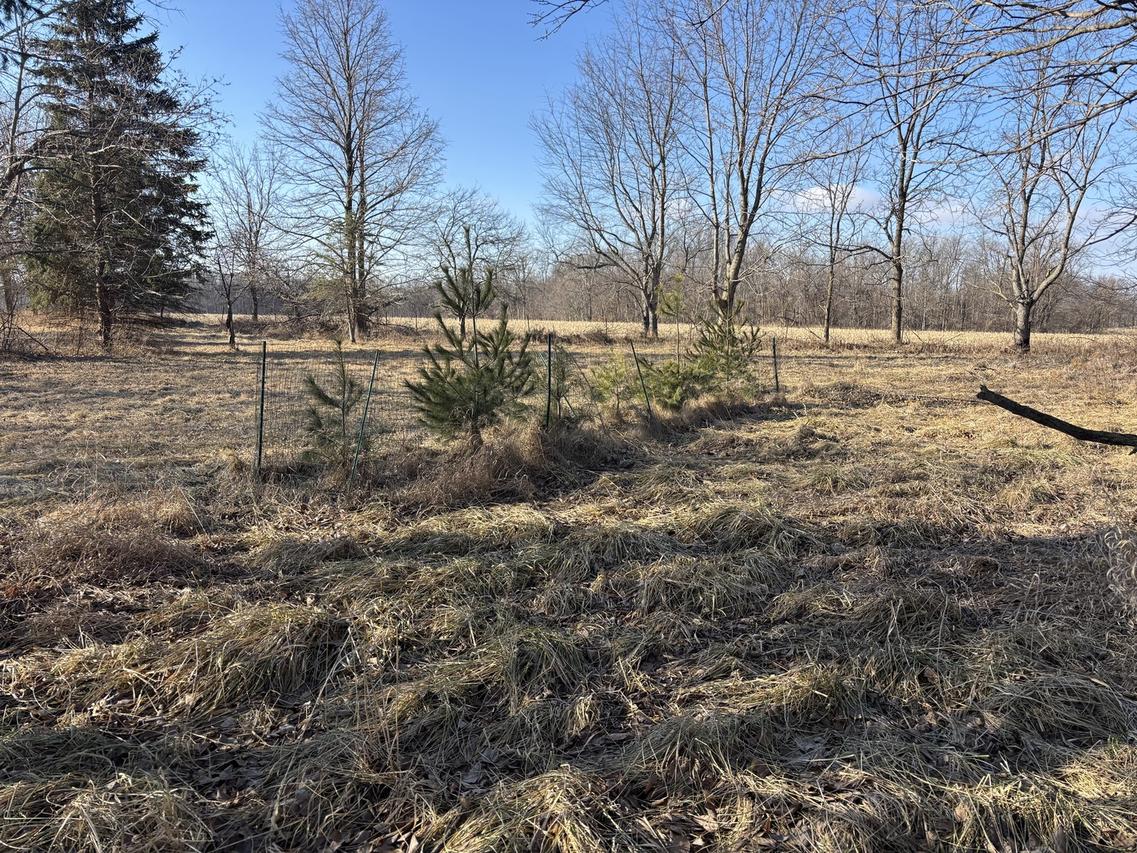 735 Brookside Dr., Varna, IL 61375