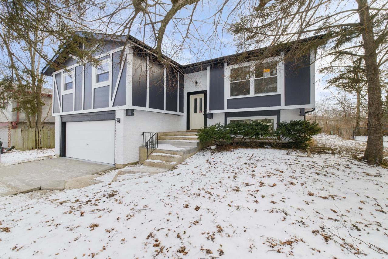 523 Nathan Rd., University Park, IL 60484