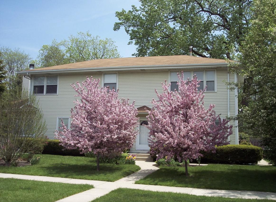 320 Central Park Ave., Wilmette, IL 60091