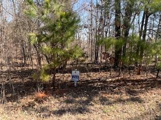 Lot 244 Parrish Ridge Ln., Goreville, IL 62939