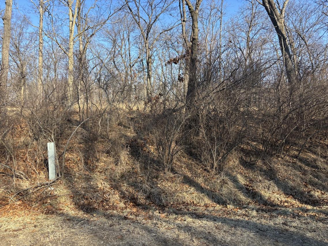 516 Brandywine Cir., Varna, IL 61375