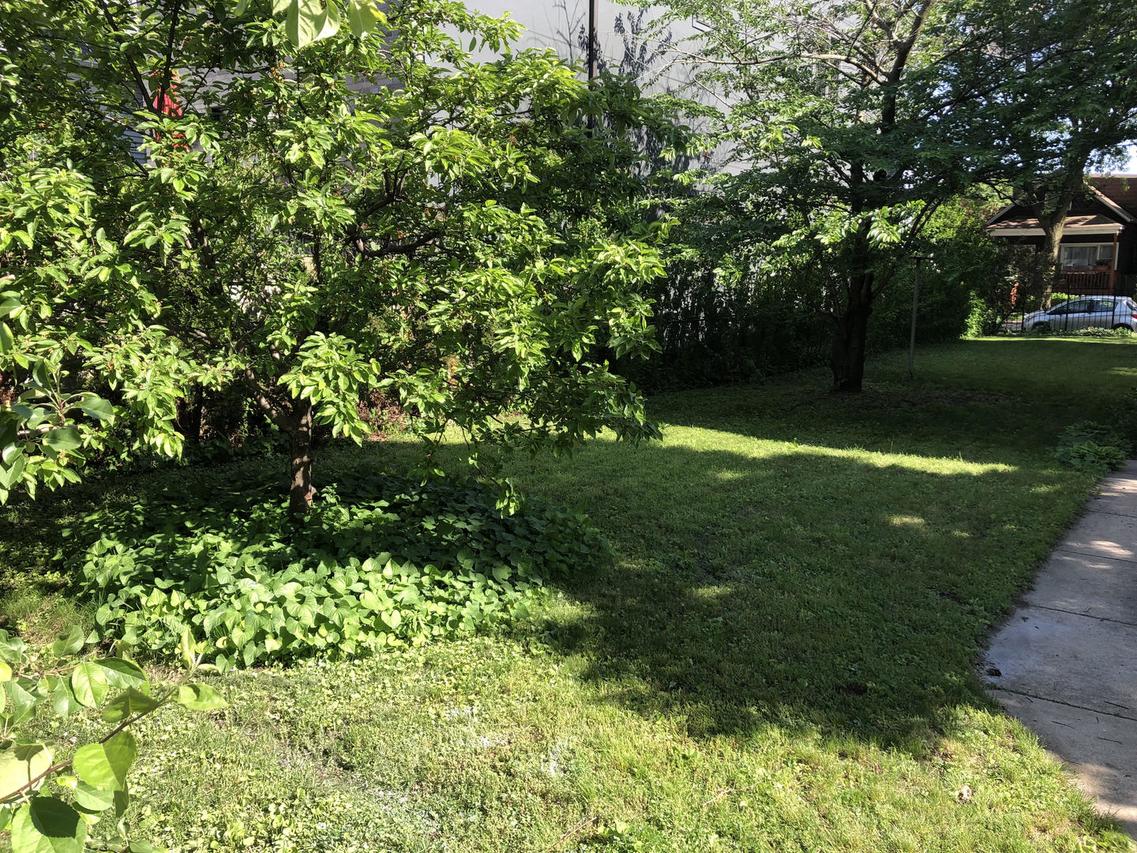 2546 W Winona St., Chicago, IL 60625