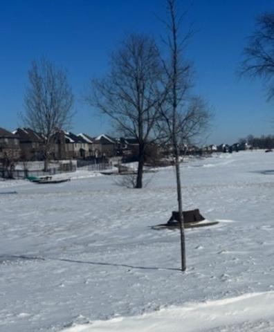 [Address Hidden by Seller], Manhattan, IL 60442