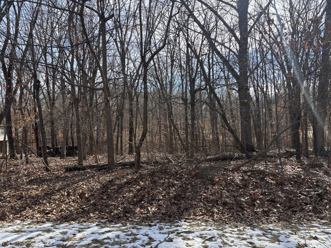 374 Bonnie Ct., Varna, IL 61375