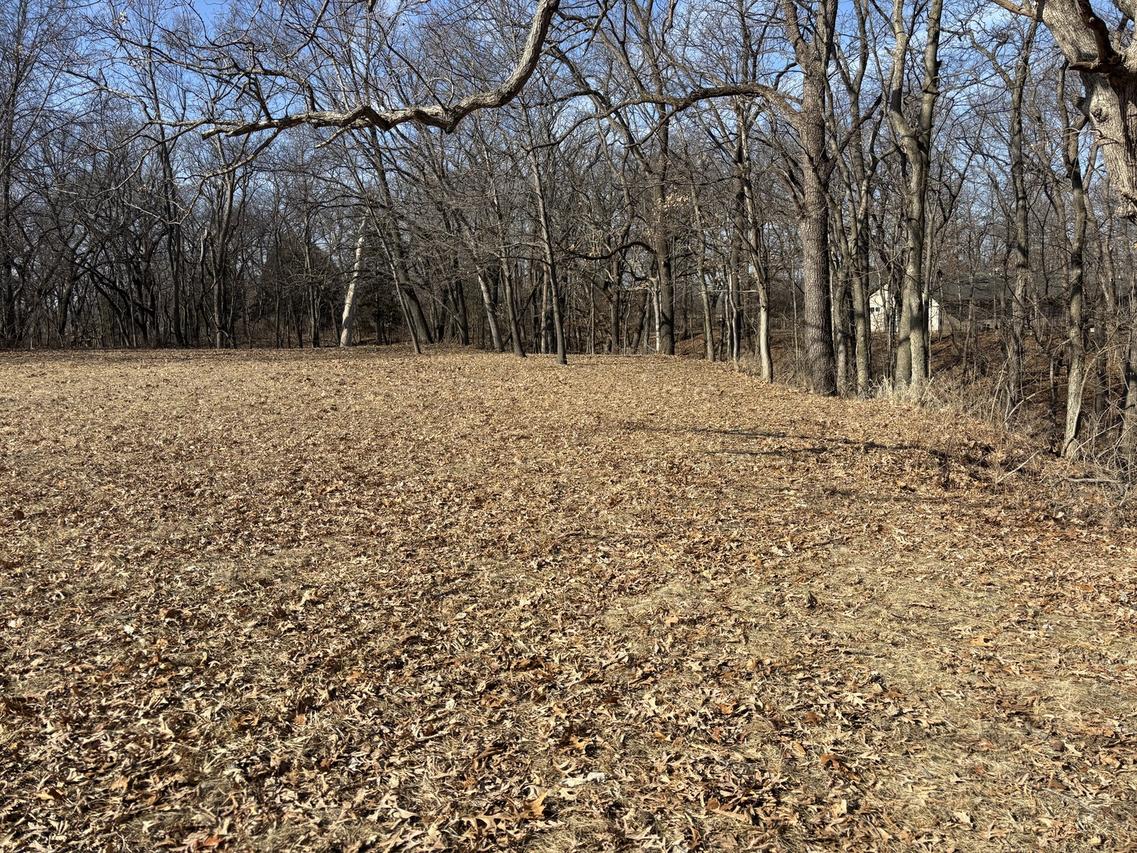 595 Cardinal Dr., Varna, IL 61375