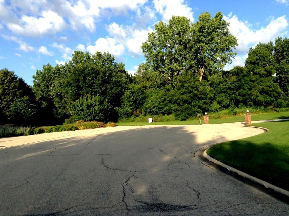 15450 W Purley Ct., Homer Glen, IL 60491