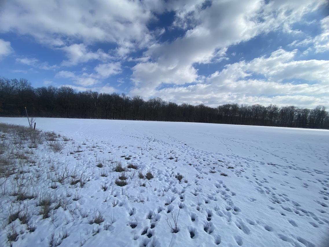 000 Highway 14 East Hwy., Macedonia, IL 62860