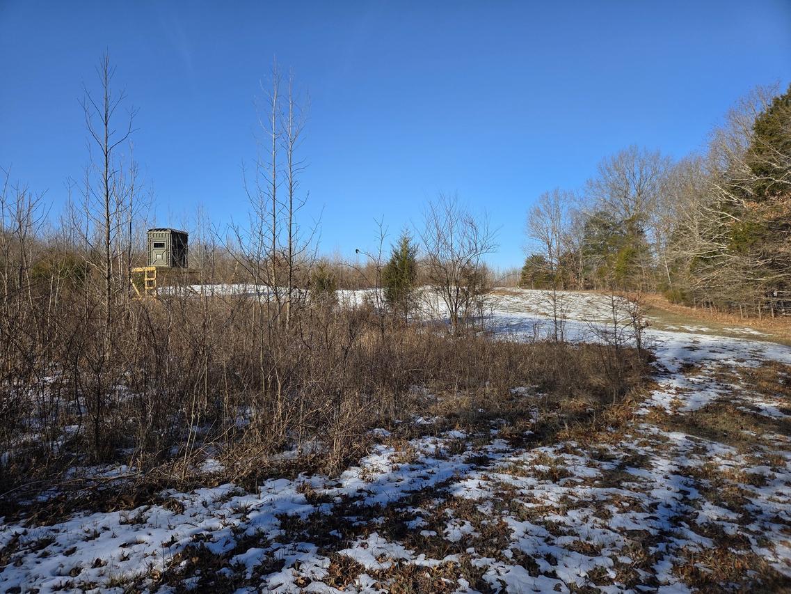 1395 Rock Springs Rd., Simpson, IL 62985