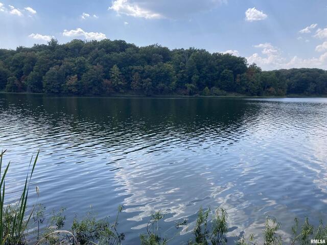 Lot 148 and Lot 501 Parrish Ridge Ln., Goreville, IL 62939