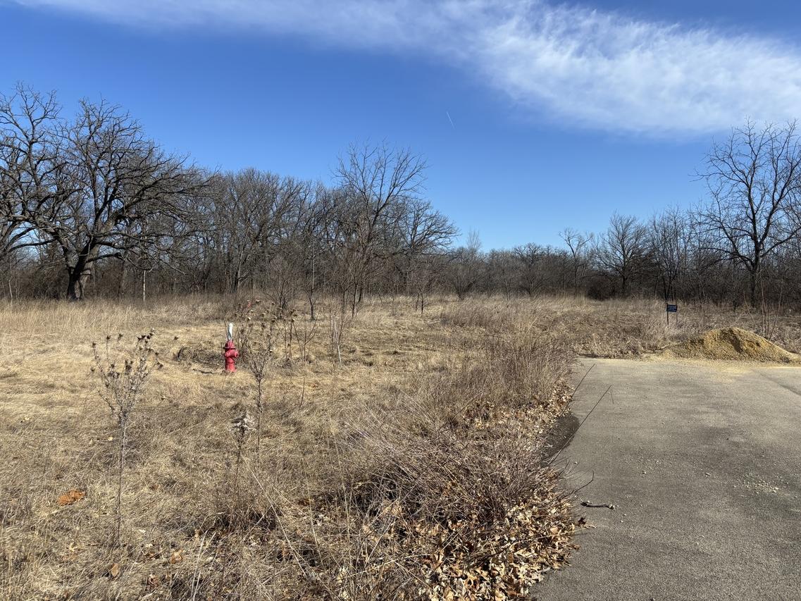 Lot 130 & Lot 131 Chippewa Tr., Albany, IL 61230