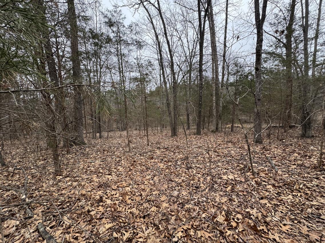 000 Indian Creek Dr., Goreville, IL 62939