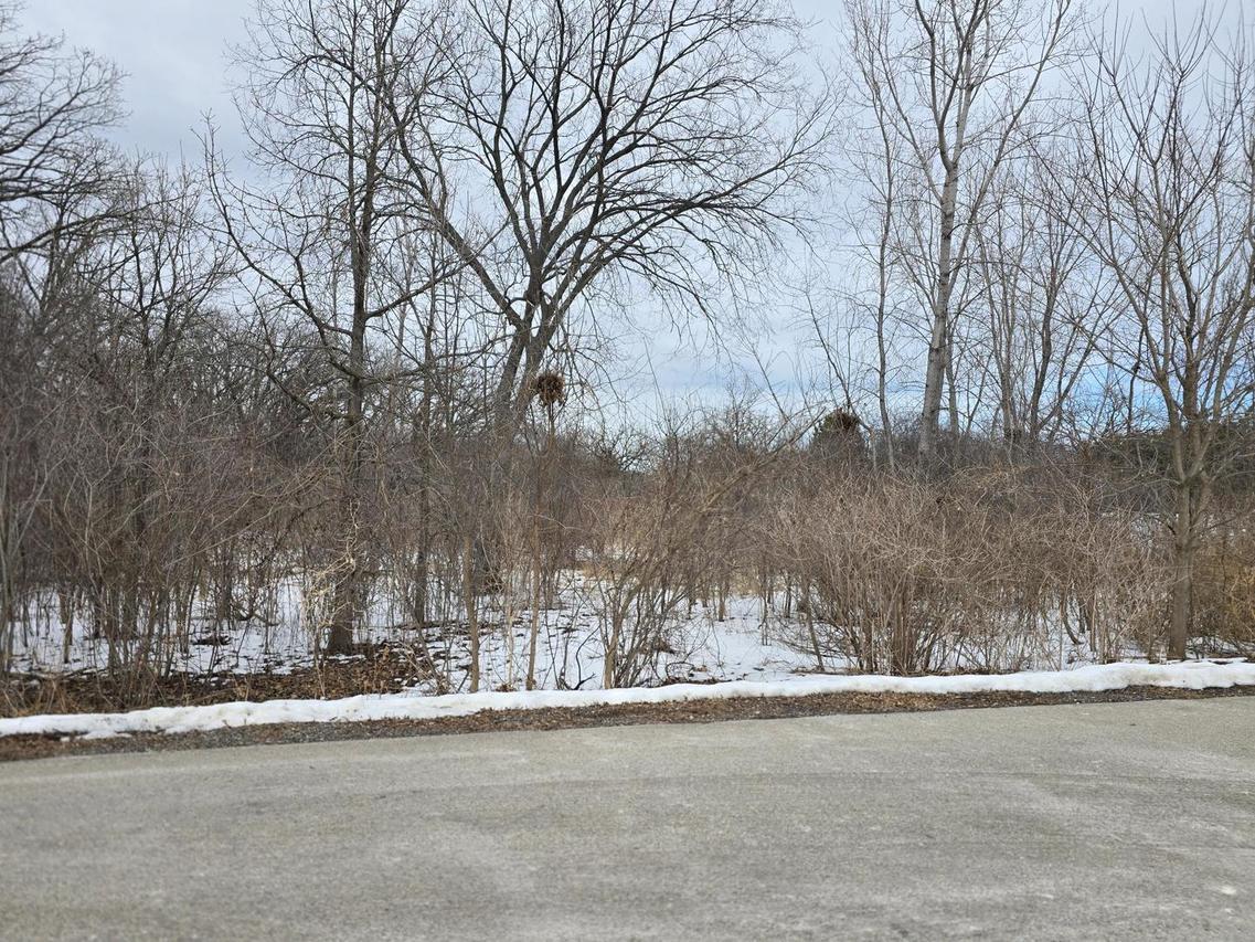 13472 W Hart St., Wadsworth, IL 60083