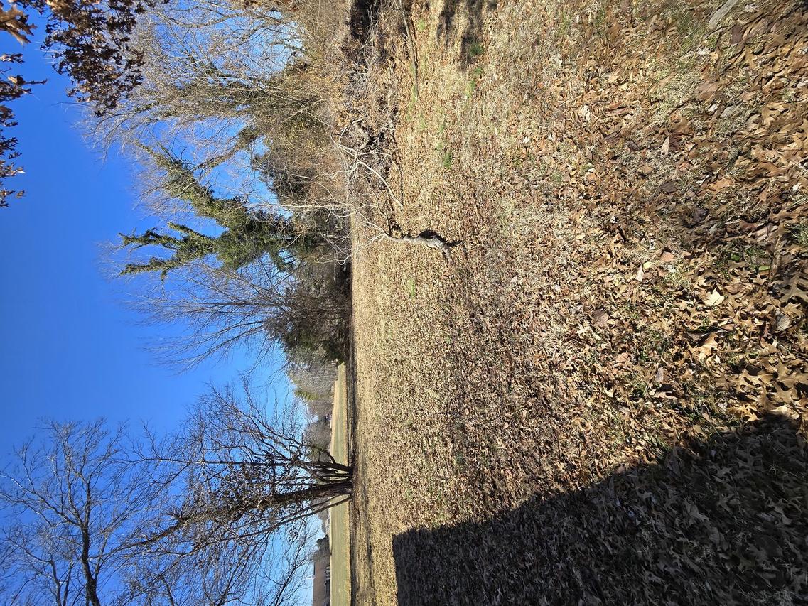 00 Giant City Rd., Carbondale, IL 62902